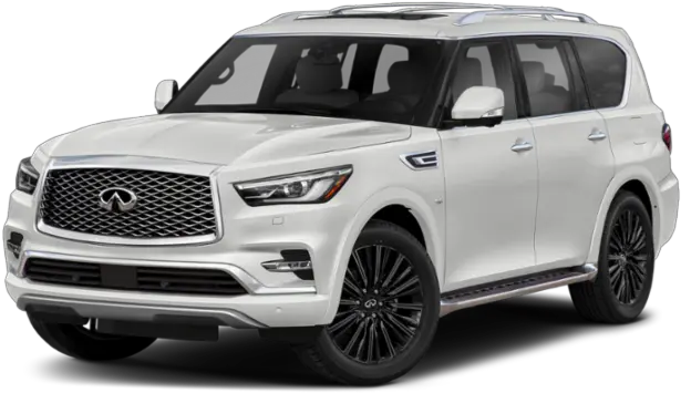  Infiniti Qx80 For Sale Applewood 2019 Infiniti Qx80 Png Infinity Rx 50 Icon