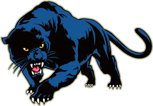  Leopard Clipart Roar Miami Palmetto Senior High School Png Panther Png