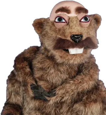  Punxsutawney Dr Grizzly Bear Png Dr Phil Png