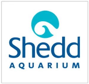  Biddingowl St Jude School Auction Shedd Aquarium Png A Day To Remember Logo Transparent