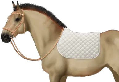  James Charles U2022 Horse World Online James Charles As A Horse Png James Charles Png