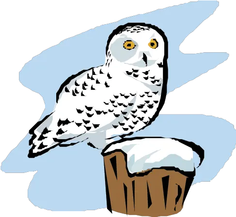  Download Snowy Owl Snowy Owls Cartoon Transparent Png Snowy Owl Owl Transparent