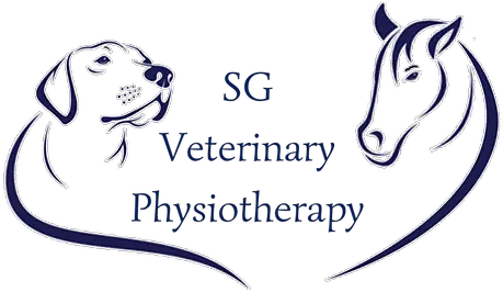  Sg Veterinary Physiotherapy Labrador Retriever Png Dog Head Png