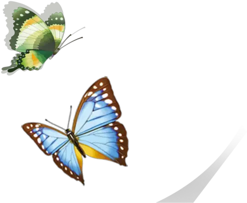  Butterfly Flying Png Download Mariposas Volando Png Real Butterfly Png