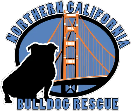  Norcal Bulldog Rescue Help Us English Bulldogs Dog Png Bulldog Transparent