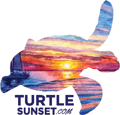  Turtle Sunset Vanderbilt Beach Webcam Naples Florida Airplane Png Sunset Sky Png