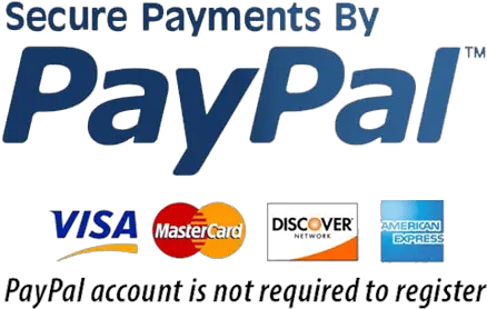  Paypal Payments Reina Graphic Design Png Paypal Payment Logo