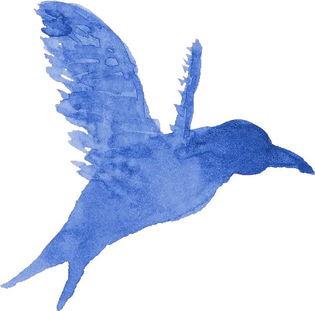  13 Watercolor Bird Silhouette Png Transparent Onlygfxcom Bird Paint Png Blue Bird Png