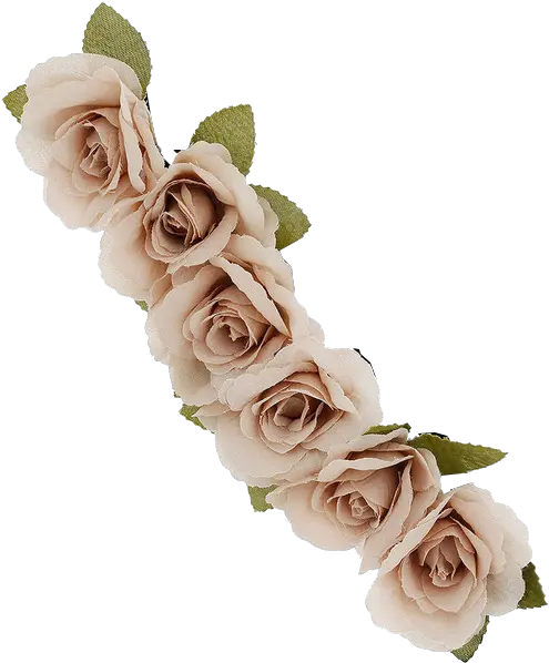  Image About Tumblr In Transparents Beige Flower Crown Png Flower Crown Png Transparent