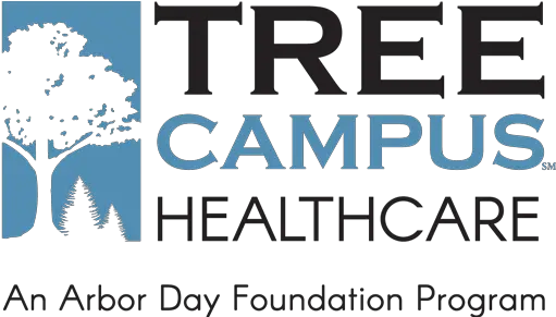  Tree Campus Healthcare The Arbor Day Foundation Colorado Spruce Png Trees In Plan Png