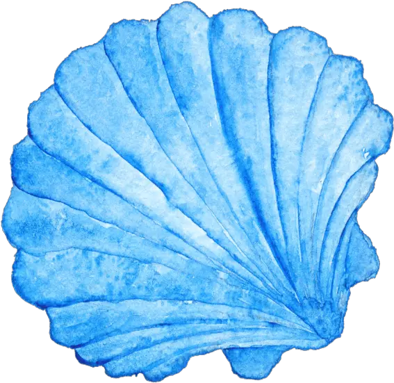  Sea Shell Blue Sea Shell Png Sea Shell Png