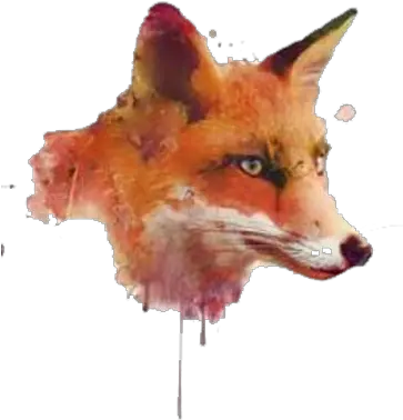  Watercolor Painting Software Fox Head Png Fox Head Png