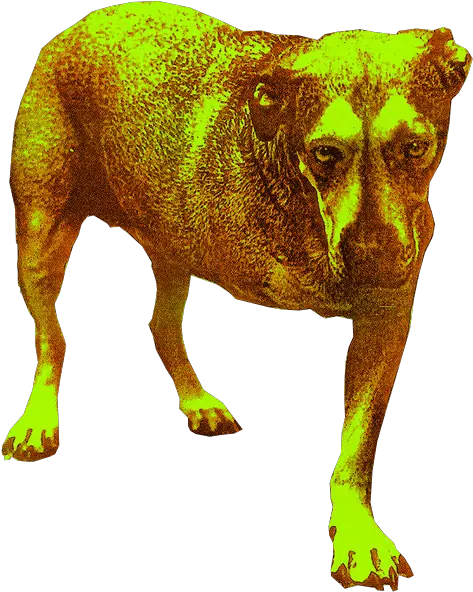  High Quality Tripod Png Yes Unexpectedtripod Alice In Chains Alice In Chains Yes Png