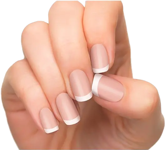  Nails Png Images Manicure French Tip Nail Polish Nail Transparent Background