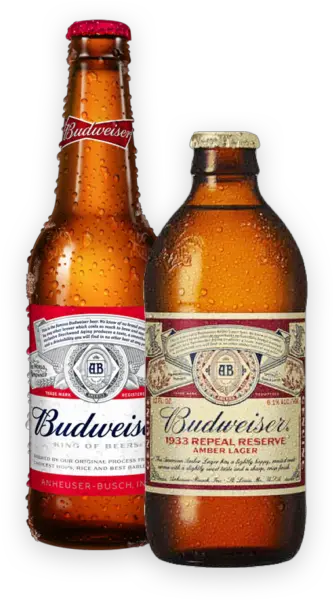  Brands Del Papa Distributing Company Budweiser 12 Oz Png Budweiser Bottle Png