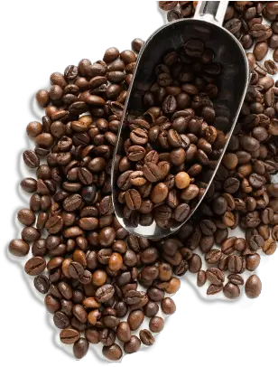  Coffee Beans Png Image Roasted Coffee Beans Png Coffee Beans Transparent Background