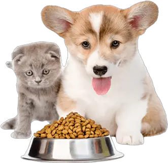  Pet Food Cat And Dog Food Png Dog Food Png