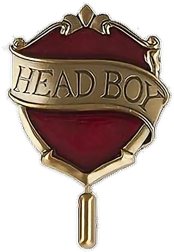  Filler Head Boy Badge Harry Potter Png Gryffindor Png