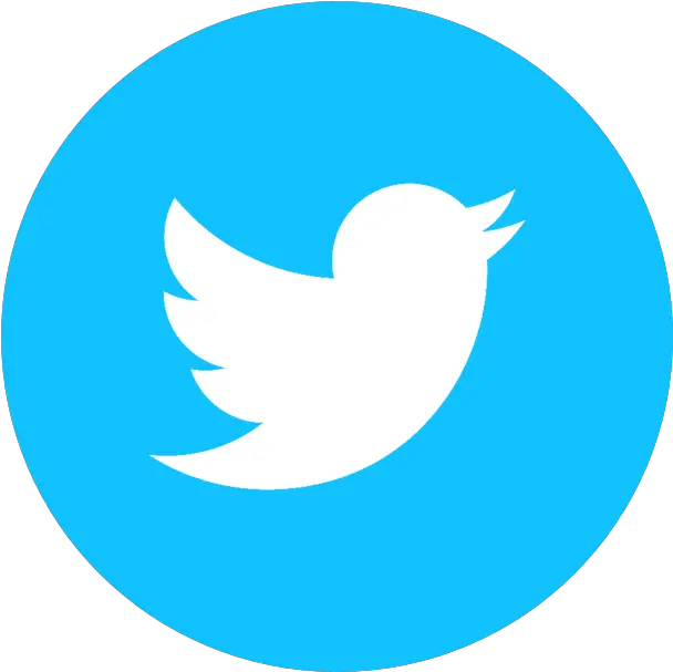  Blue Twitter Logo Twitterbird Twitter Logo Png Blue Twitter Logo Image