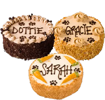  Three Dog Bakery Denver Three Dog Bakery Cake Png Three Dog Night Icon