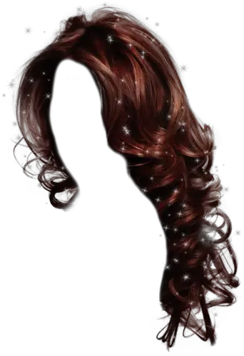  Photo From Album On Hair Hair Styles Wig Png Dreadlocks Png