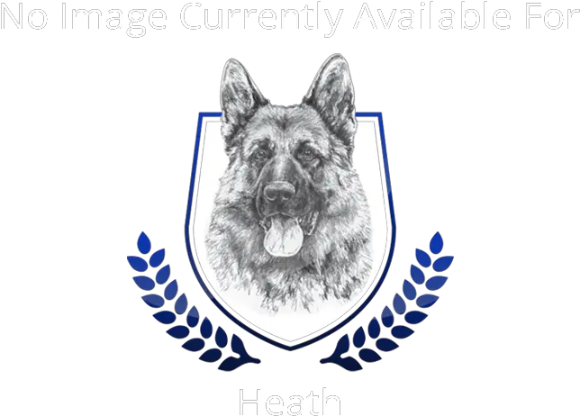  Visit The Exceptional Herding German Shepherds Of Mittelwest Joyce Meyer University Png German Shepard Puppy Icon