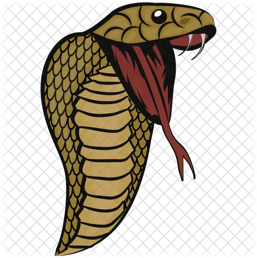  King Cobra Icon Of Doodle Style Indian Cobra Png King Cobra Png