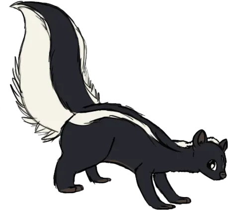  Skunk Png Transparent Image Skunk Clipart Png Skunk Transparent