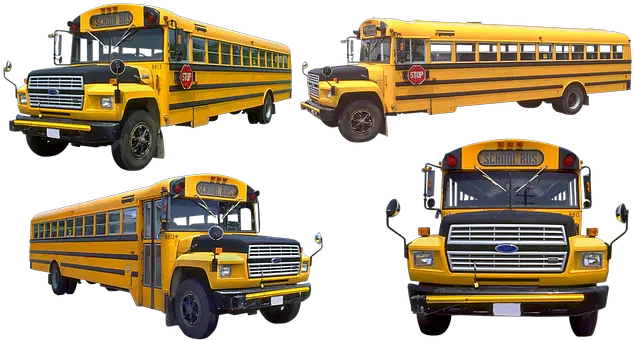  100 Free School Bus U0026 Images Pixabay School Bus Services 8813 Png School Bus Transparent Background