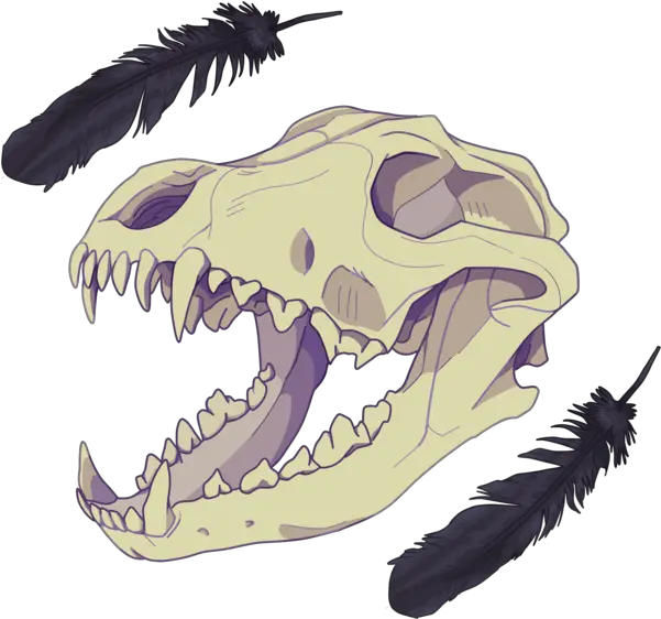  Animal Skull Drawing Transparent Transparent Dog Skull Drawing Png Croc Png