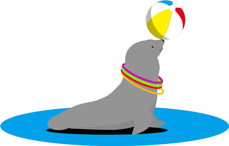  Sea Lion Animal Balancing Ball California Sea Lion Png Sea Lion Png