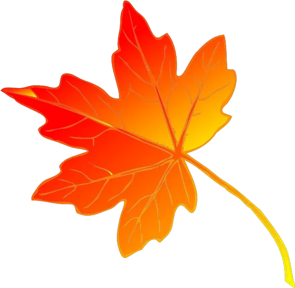  90 Canada Maple Leaf Clipart Clipartlook Fall Leaves Clip Art Png Canada Maple Leaf Png