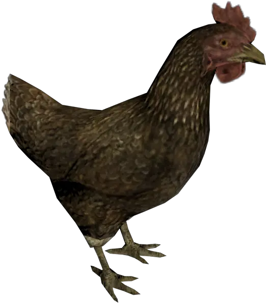  Pc Computer The Elder Scrolls V Skyrim Chicken The Skyrim Chicken Png Chicken Transparent