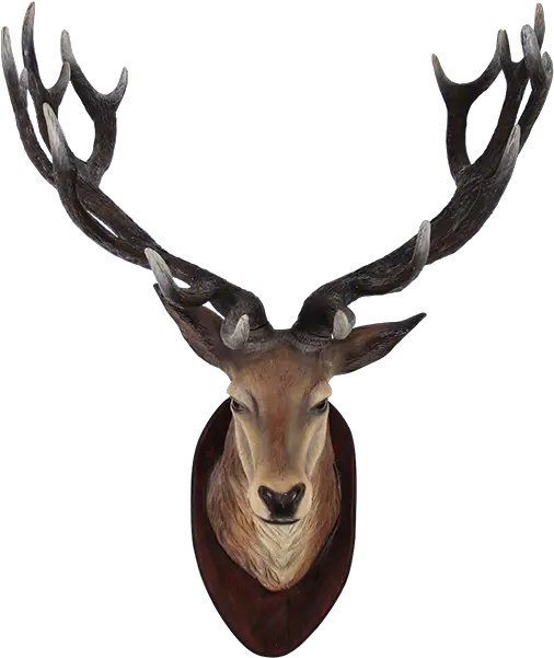  Deer Head Transparent Png Animals Head On Wall Animal Head Png