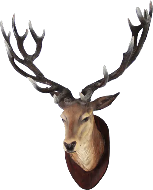  Deer Head Png 4 Image Deer Head Png Animal Head Png