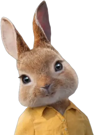  Mopsy Sony Pictures Animation Wiki Fandom Swamp Rabbit Png Peter Rabbit Png