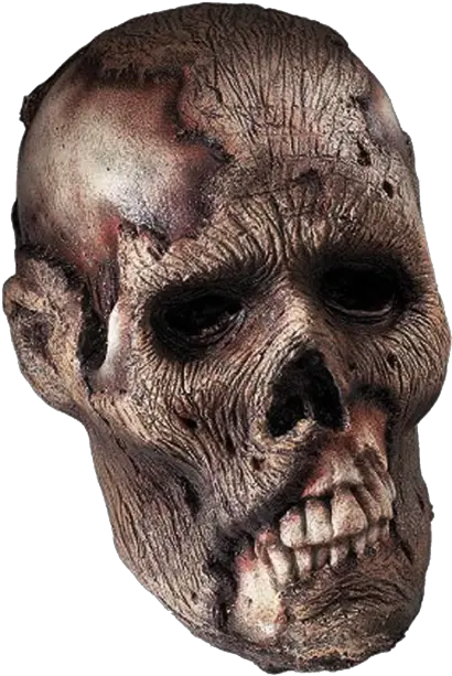  Download Skeleton Head Png Clipart Zombie Skull Png Skeleton Face Png