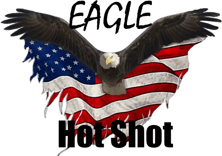  Eagle Hot Shot Transport Service 918 884 9421 Eagle United States Logo Png Bald Eagle Transparent