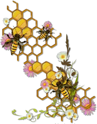  Bee Art Clipart Honeycomb With Bees Drawing Png Bee Clipart Png