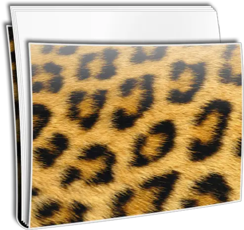  Folder Files Leopard Icon Fold Icons Softiconscom Leopard Skin Png Leopard Png