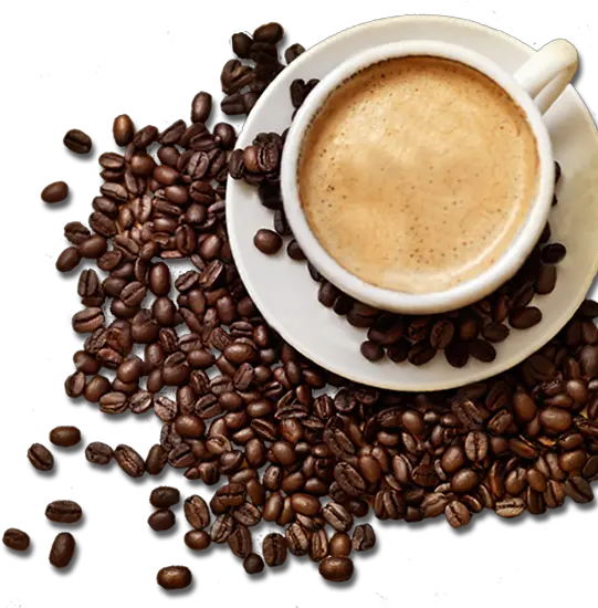  Png Hd Transparent Coffee Cup Of Coffee Png Coffee Cups Png