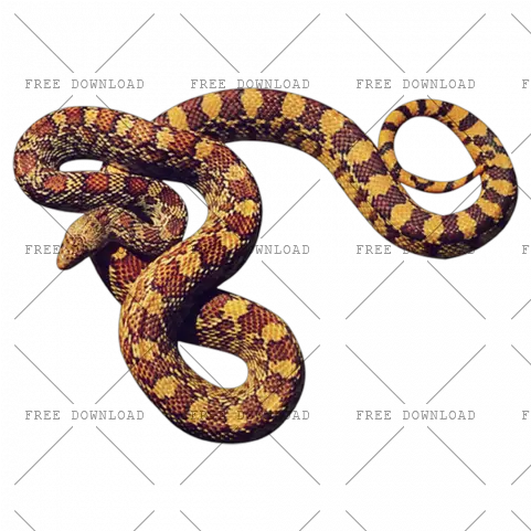  Anaconda Png Image With Transparent Background Photo 8 Cobras Png Snake Transparent Background