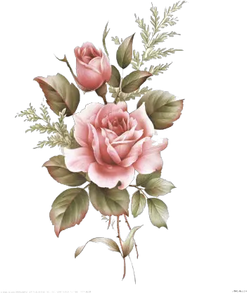  Flower Drawing Tumblr Transparent Rose Da Dipingere Png Tumblr Transparent Png