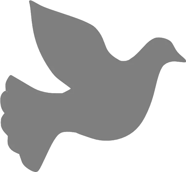  Download Grey Love Dove Grey Dove Clipart Dove Png