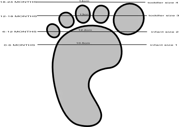  Baby Shoe Size Guide Clip Art Vector Clip Art Baby Shoe Sizes C Png Baby Shoes Png