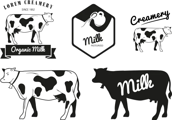  Milk Holstein Friesian Cattle Dairy Logo Milk Cow Cow Logo Png Cow Logo