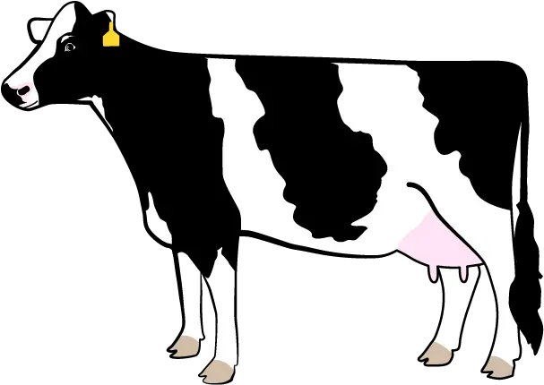  Download Free Dairy Cow Silhouette Png Holstein Friesian Cow Cartoon Cow Clipart Png