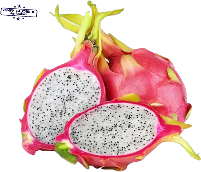  Dragon Fruit Png Fruit With White Inside Dragon Fruit Png