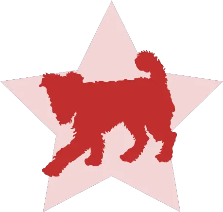  Stardog Sf San Francisco Dog Training U0026 Private Walks Northern Breed Group Png Dog Walk Icon