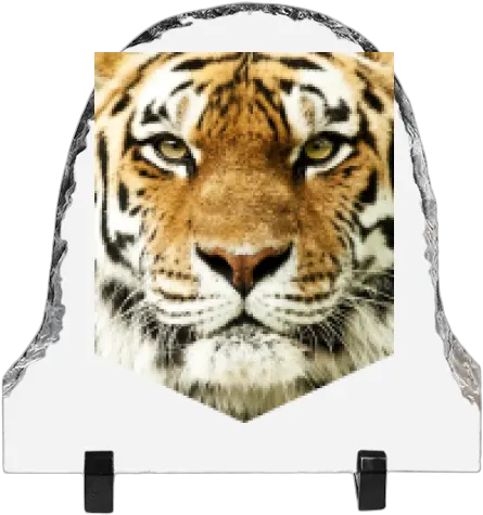  Vaulted Photo Stone With Printing Tiger Head Face Wallpaper Tiger Png Tiger Head Png